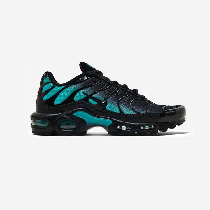 Nike Air Max Plus TN "Black Dusty Cactus"